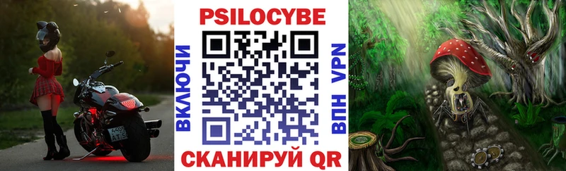 Псилоцибиновые грибы Magic Shrooms  Усть-Джегута 